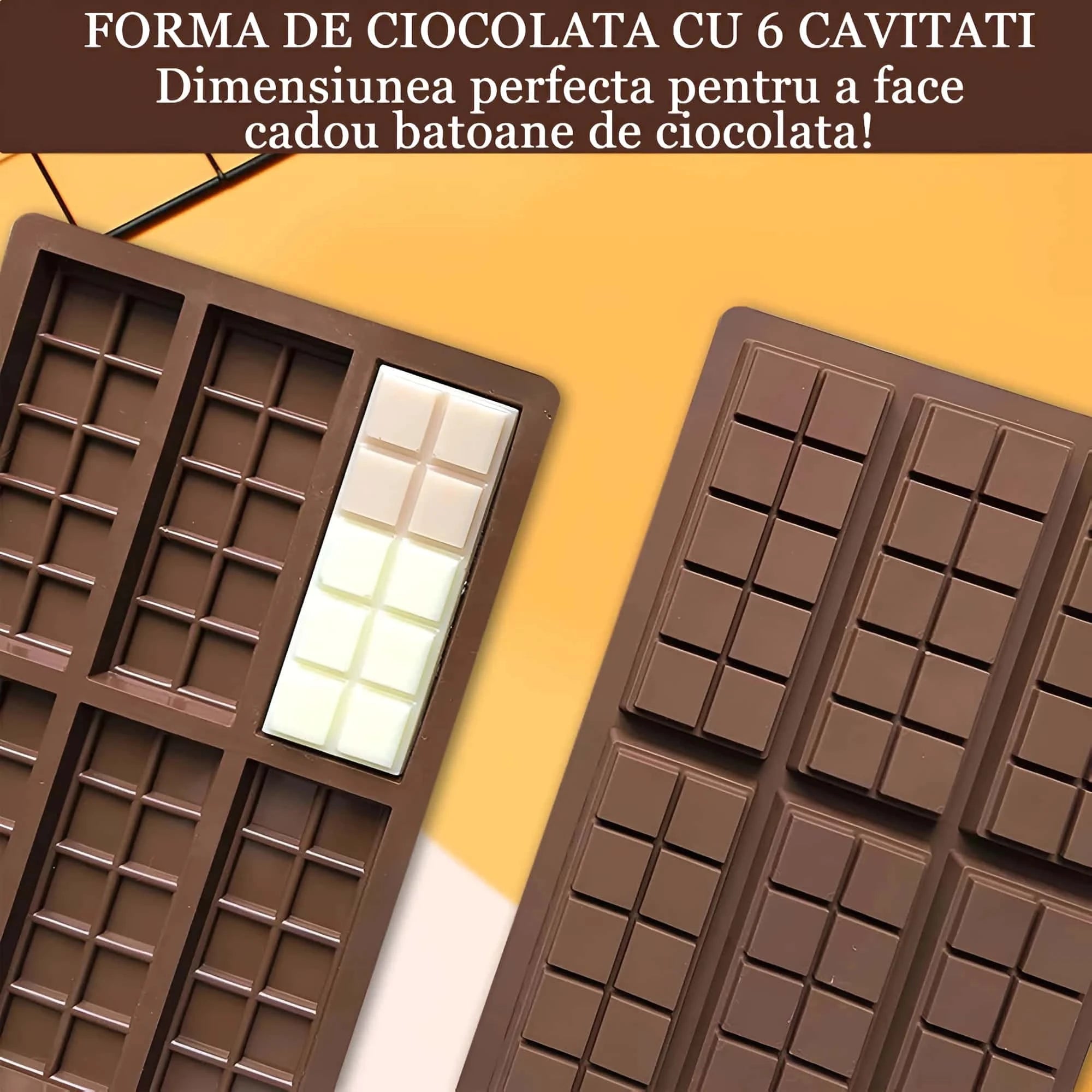 In poza este reprezentata forma de ciocolata cu 6 cavitati.