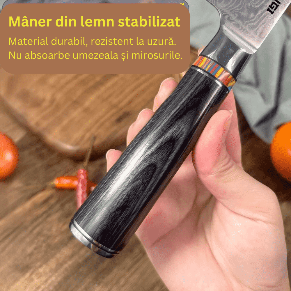 Professional Japanese Damascus steel knife, 67 layers, 20 cm blade, Pakka wood handle, Corrosion Resistant, Black