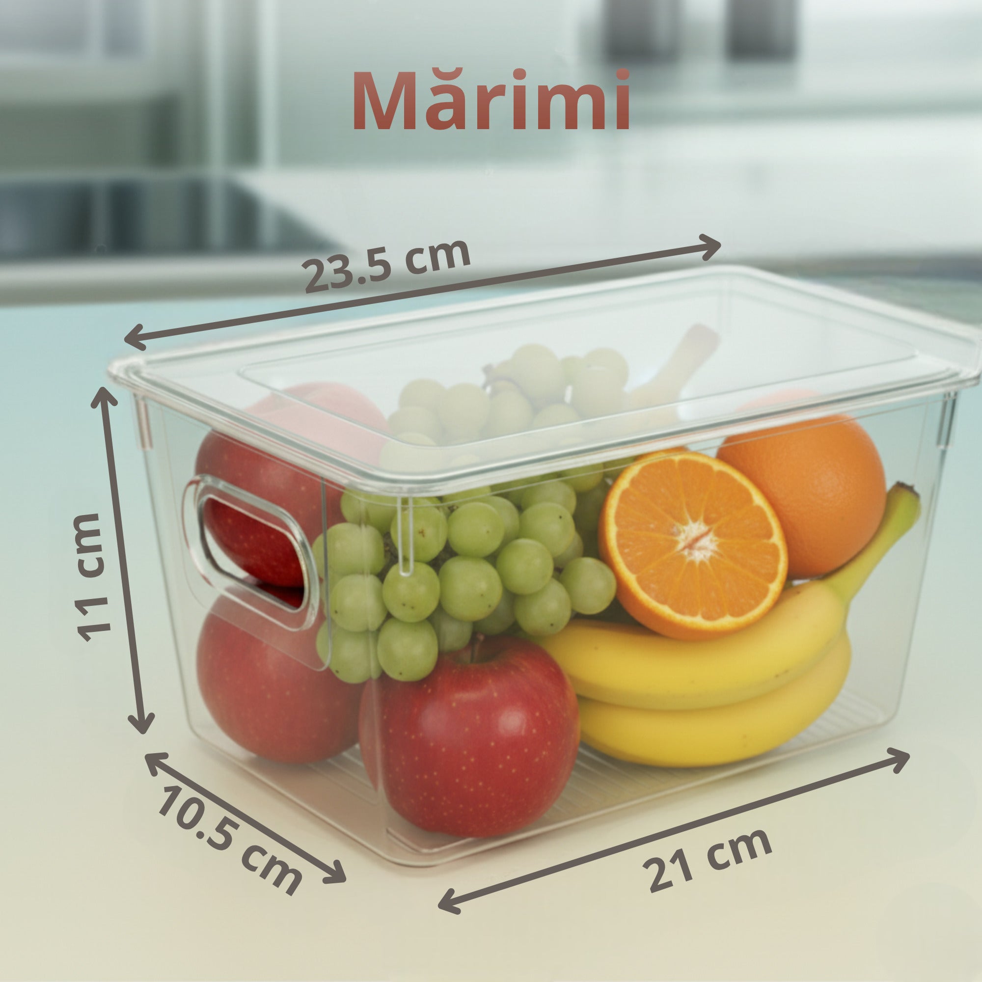 Recipient transparent din plastic cu capac si manere laterale Koken, plin cu fructe proaspete – mere, struguri, banane si portocale – prezentat pe un blat de bucatarie, cu dimensiuni afisate 23.5 x 21 x 10.5 x 11 cm.